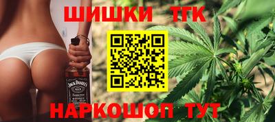 МДПВ Новозыбков