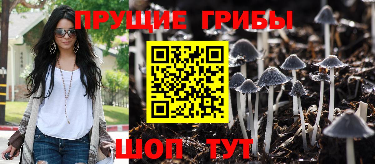 Галлюциногенные грибы Cubensis  Псилоцибиновые грибы прущие грибы  Вход с VPN  Ялуторовск 